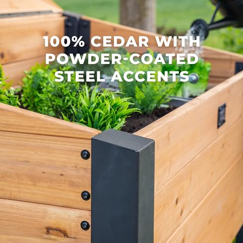 Backyard Discovery Aggie Cold Frame Box, Portable Wooden Garden Greenhouse, Indoor or Outdoor Terrarium Planter Box