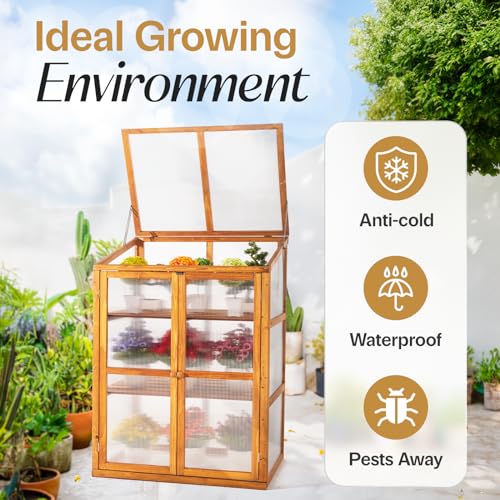 IDZO Fir Wood Cold Frame Greenhouse for Outdoors, 2-Tier Greenhouse Cabinet with Transparent Polycarbonate Sheet & Foldable Top Creates an Ideal Environment for Various Plant Growth, Easy Assembly