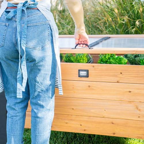 Backyard Discovery Aggie Cold Frame Box, Portable Wooden Garden Greenhouse, Indoor or Outdoor Terrarium Planter Box
