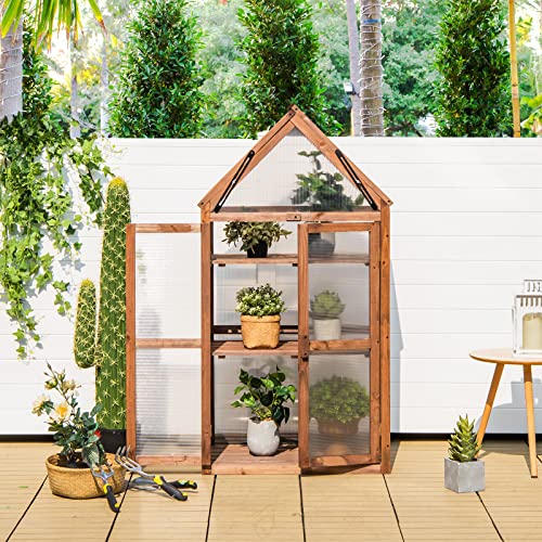 Happygrill Cold Frame Greenhouse, Mini Wooden Greenhouse Raised Flower Planter Shelf with Transparent Openable Roof, Double Doors & 3 Tier Shelves, Indoor Outdoor Greenhouse for Garden Yard Balcony