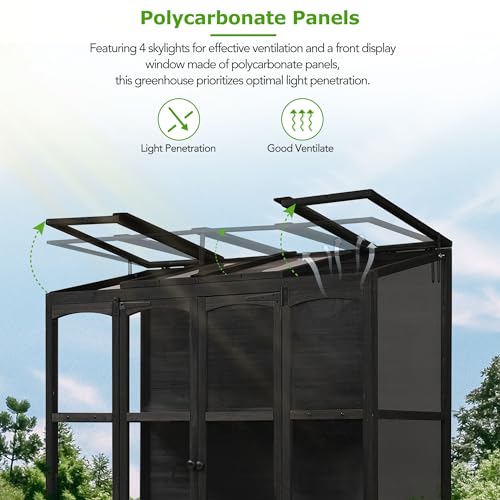 SONGG 78 Inch Wooden Greenhouse Cold Frame with 4 Independent Skylights and 2 Folding Middle Shelves, Walk-in Outdoor Greenhouses, for Backyard, Garden