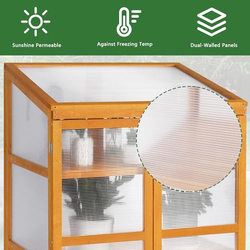 LTMEUTY Wooden Greenhouse - Cold Frame Greenhouse for Outdoor, Portable Green House with Adjustable Roof and Shelves, Flower Planter Box with for Winter, 30” W x 22”D x 43” H