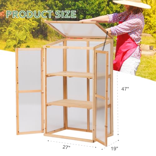 BIGTREE Wooden Green House Mini Greenhouse Indoor/Outdoor Nursery Vented Cold Frame Portable Garden Planter Raised Plants Top Opening Door (27"X19"X47")