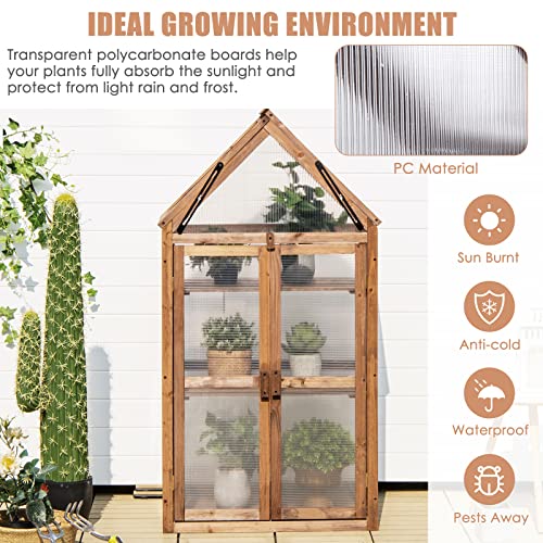 GRAFFY Wooden Cold Frame Greenhouse, Portable Raised Flower Planter Shelf with 3 Removable shelves and Transparent Flip-Top Roof, Mini Greenhouse Cabinet for Outdoor Indoor Use(27" L x 16" W x 58" H )