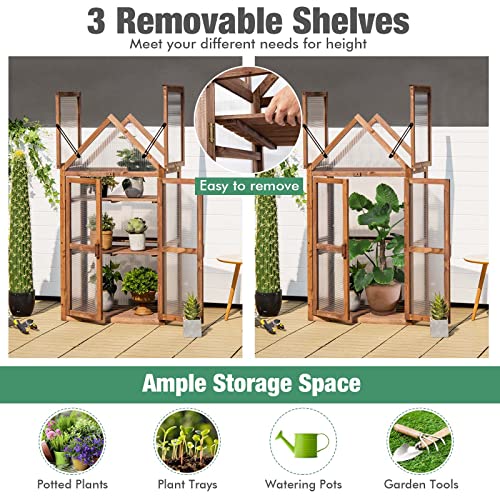 GRAFFY Wooden Cold Frame Greenhouse, Portable Raised Flower Planter Shelf with 3 Removable shelves and Transparent Flip-Top Roof, Mini Greenhouse Cabinet for Outdoor Indoor Use(27" L x 16" W x 58" H )