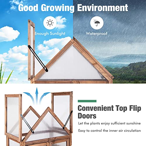GRAFFY Wooden Cold Frame Greenhouse, Portable Raised Flower Planter Shelf with 3 Removable shelves and Transparent Flip-Top Roof, Mini Greenhouse Cabinet for Outdoor Indoor Use(27" L x 16" W x 58" H )