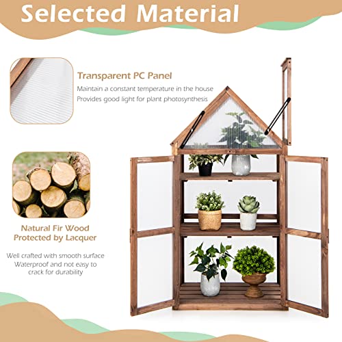 GRAFFY Wooden Cold Frame Greenhouse, Portable Raised Flower Planter Shelf with 3 Removable shelves and Transparent Flip-Top Roof, Mini Greenhouse Cabinet for Outdoor Indoor Use(27" L x 16" W x 58" H )