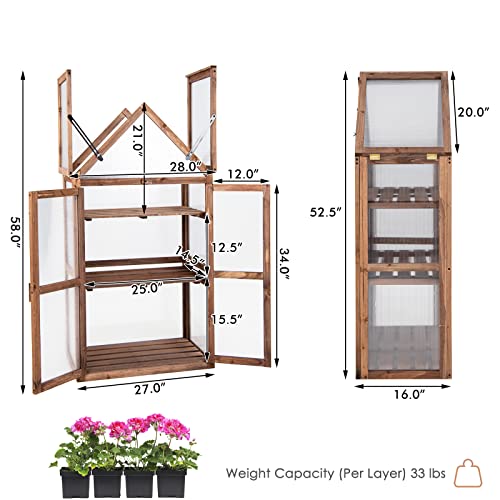GRAFFY Wooden Cold Frame Greenhouse, Portable Raised Flower Planter Shelf with 3 Removable shelves and Transparent Flip-Top Roof, Mini Greenhouse Cabinet for Outdoor Indoor Use(27" L x 16" W x 58" H )