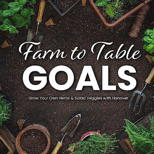 Hanover 47-in. Single Garden Bed Cold Frame Mini-Greenhouse Plant Protector, Lightweight and Portable Greenhouse for Garden, Backyard, Patio, Deck, or Porch, Durable Home Greenhouse with Ventilation