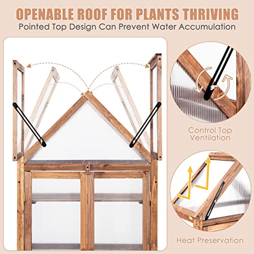 LDAILY Cold Frame Greenhouse, Wooden Raised Flower Planter Shelf w/ Triangular Top Grow Protection, Double Doors, Greenhouse Cabinet for Outdoor Patio Balcony Garden Backyard, 27" L x 16" W x 58" H