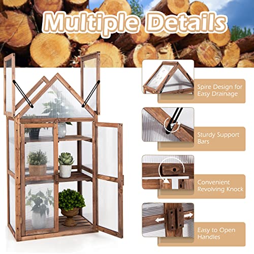 GRAFFY Wooden Cold Frame Greenhouse, Portable Raised Flower Planter Shelf with 3 Removable shelves and Transparent Flip-Top Roof, Mini Greenhouse Cabinet for Outdoor Indoor Use(27" L x 16" W x 58" H )