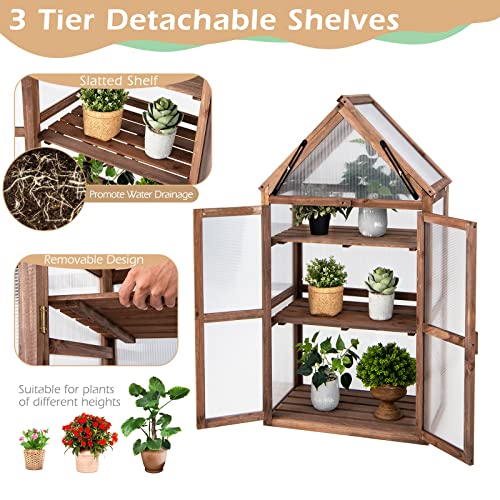 LDAILY Cold Frame Greenhouse, Wooden Raised Flower Planter Shelf w/ Triangular Top Grow Protection, Double Doors, Greenhouse Cabinet for Outdoor Patio Balcony Garden Backyard, 27" L x 16" W x 58" H