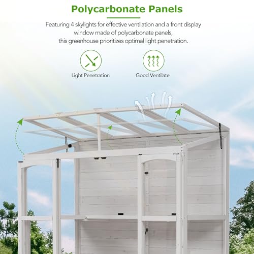 SUANQHOME 78-inch Wooden Greenhouse Cold Frame with 4 Independent Skylights and 2 Folding Middle Shelves, Walk-in Outdoor Greenhouse, Polycarbonate Panels for Garden Backyard, White