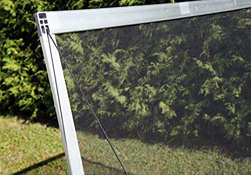 Exaco Year-Round-NP Season 2 x 4 ft. Cold Frame with Dual Purpose Screen or Polycarbonate Lid, Clear