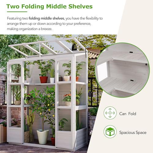 SUANQHOME 78-inch Wooden Greenhouse Cold Frame with 4 Independent Skylights and 2 Folding Middle Shelves, Walk-in Outdoor Greenhouse, Polycarbonate Panels for Garden Backyard, White