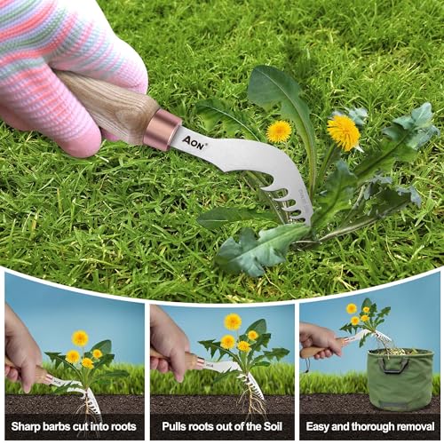 AON 2Pack Hand Crack Weeder Puller Tool Set - Made with Heat Treated Steel and Ash Wood Ergonomic Handles, Weeding Tools Ideal for Gardens and Patio Lawns to Effectively Pull Out Weeds & Their Roots.