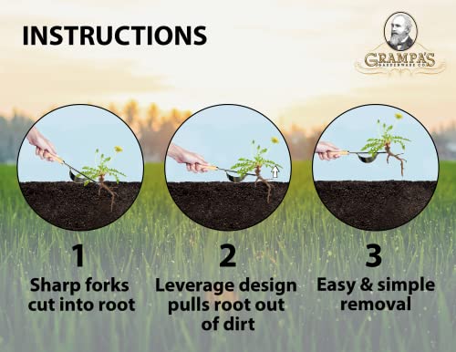 Grampa's Hand Weeder Tool - The Perfect Lightweight Easy to Use Weed Puller Tool for Garden - Durable Unique Lever Design with V-Shaped Forks Allows for Easy Removal of Weeds & Their Roots.