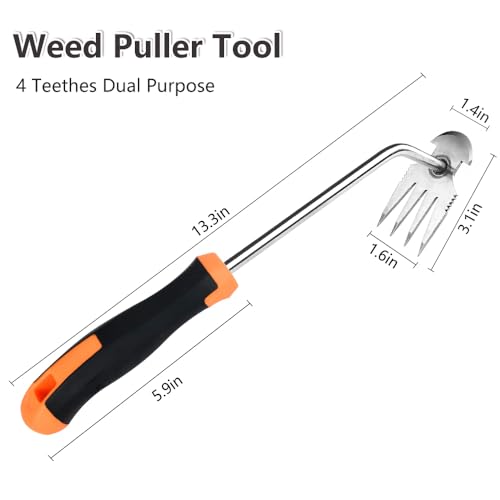 GANCHUN Weed Puller Tool，2024 New Garden Weeder Tool Stainless Steel Hand Weeder Tool,4 Teethes Dual Purpose Weed Remover Tool Weeding Tools for Gardening (Rubber Handle)