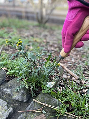 Grampa's Hand Weeder Tool - The Perfect Lightweight Easy to Use Weed Puller Tool for Garden - Durable Unique Lever Design with V-Shaped Forks Allows for Easy Removal of Weeds & Their Roots.