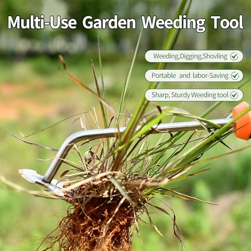 GANCHUN Weed Puller Tool，2024 New Garden Weeder Tool Stainless Steel Hand Weeder Tool,4 Teethes Dual Purpose Weed Remover Tool Weeding Tools for Gardening (Rubber Handle)