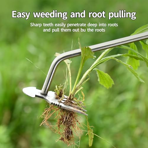 GANCHUN Weed Puller Tool，2024 New Garden Weeder Tool Stainless Steel Hand Weeder Tool,4 Teethes Dual Purpose Weed Remover Tool Weeding Tools for Gardening (Rubber Handle)