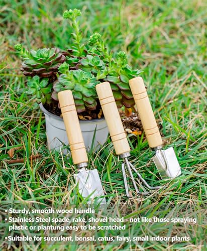 Josteve 5Pcs Succulent Tools Mini Garden Small Gardening Tools Indoor, Pruning Shear Gardening Scissors, Hand Tool kit for Bonsai, Cactus, Fairy, Houseplant of Transplanting, Repotting, Seedling Soil