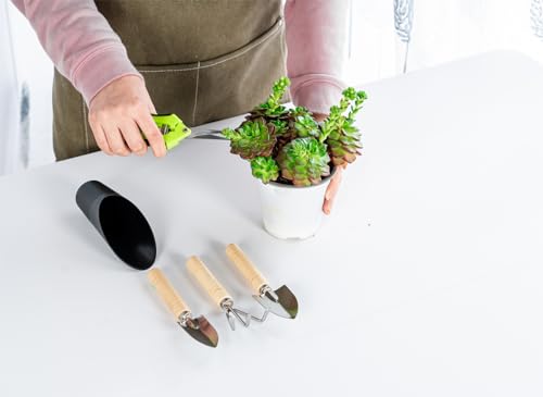 Josteve 5Pcs Succulent Tools Mini Garden Small Gardening Tools Indoor, Pruning Shear Gardening Scissors, Hand Tool kit for Bonsai, Cactus, Fairy, Houseplant of Transplanting, Repotting, Seedling Soil