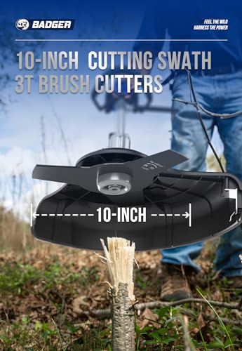 WILD BADGER POWER 40V Cordless Weed Wacker, String Trimmer/Edger, Pole Saw, Hedge Trimmer and Brush Cutter Blade, Attachment Capable 4-in-1 Multi-Tool Kit with 2 * 20V 4Ah Battery and 1*Charger