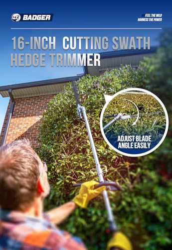 WILD BADGER POWER 40V Cordless Weed Wacker, String Trimmer/Edger, Pole Saw, Hedge Trimmer and Brush Cutter Blade, Attachment Capable 4-in-1 Multi-Tool Kit with 2 * 20V 4Ah Battery and 1*Charger