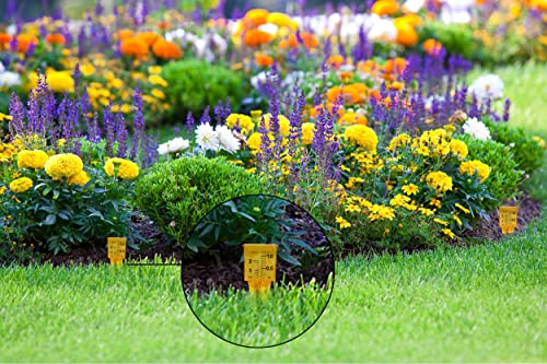 Hatsbi Rain Gauge Sprinkler Gauge (12 Pack) for Lawn and Garden Water Measuring Tool Wide Mouth