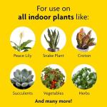 Miracle-Gro Indoor Potting Mix (6 qt.) and Indoor Plant Food (8 oz.) - Bundle for Growing and Fertilizing Houseplants