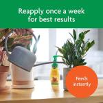 Miracle-Gro Indoor Potting Mix (6 qt.) and Indoor Plant Food (8 oz.) - Bundle for Growing and Fertilizing Houseplants