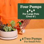 Miracle-Gro Cactus, Palm & Citrus Potting Mix and Plant Food - Bundle of Soil (8 qt.) and Liquid Plant Food (8 oz.) for Growing and Fertilizing Indoor Succulents