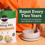 Miracle-Gro Cactus, Palm & Citrus Potting Mix and Plant Food - Bundle of Soil (8 qt.) and Liquid Plant Food (8 oz.) for Growing and Fertilizing Indoor Succulents