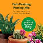 Miracle-Gro Cactus, Palm & Citrus Potting Mix 2-Pack