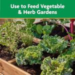 Miracle-Gro Water Soluble Plant Food Vegetables & Herbs 2 lb