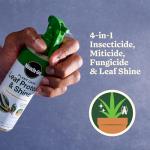 Miracle-Gro Indoor Potting Mix, Indoor Plant Food & Leaf Shine - Bundle of Potting Soil (6 qt.), Liquid Plant Food (8 oz.) & Leaf Shine (8 oz.) for Growing, Fertilizing & Cleaning Houseplants