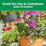 Miracle-Gro Pour & Feed Plant Food, Fertilizer Instantly Feeds Live Plants, For Outdoor & Indoor Plants in Containers, 32 oz.