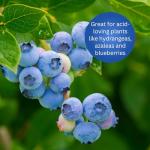 Earth Science – Fast Acting Sulfur with Nutri-Bond Run Off Reduction Technology – Fertilizer Enhancer – Lower pH of Soil 5 lb