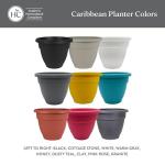 The HC Companies 10 Inch Caribbean Planter - Lightweight Indoor Outdoor Plastic Plant Pot for Herbs and Flowers, Black