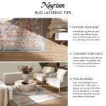 Nourison Positano Terracotta Indoor-Outdoor Area Rug, 8x10