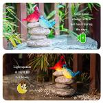 Ovewios Solar Garden Statues Outdoor Decor, Garden Sculptures Stones Statue Novelty Birds Figurine Decoration for Patio Yard Porch Art Home Decor