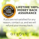 Premium Bypass Pruning Shears for your Garden - Heavy-Duty, Ultra Sharp Pruners w/Soft Cushion Grip Handle Made with Japanese Grade High Carbon Steel - Perfectly Cutting Through Anything in Your Yard