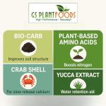 Organic Soil for Vegetable Garden Turbo Soil Bio-Blend, Superior Organic Soil Amendment (3 lbs)