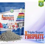 Triple Super Phosphate 0-46-0 Fertilizer Made in USA - Bloom Booster - TSP Pure Phosphorus Plant Food for Indoor/Outdoor Plants & Flower Gardens - Fruit, Vegetables, Holistic Herbs, Trees & More!