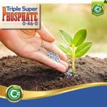 Triple Super Phosphate 0-46-0 Fertilizer Made in USA - Bloom Booster - TSP Pure Phosphorus Plant Food for Indoor/Outdoor Plants & Flower Gardens - Fruit, Vegetables, Holistic Herbs, Trees & More!