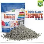 Triple Super Phosphate 0-46-0 Fertilizer Made in USA - Bloom Booster - TSP Pure Phosphorus Plant Food for Indoor/Outdoor Plants & Flower Gardens - Fruit, Vegetables, Holistic Herbs, Trees & More!