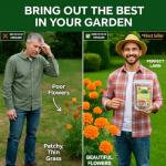 Premium 10-10-10 All-Purpose Soil Fertilizer by Gardenera - Ideal for Flowers, Plants, Vegetables, Fruit Trees and Lawns - 1 Quart