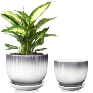 Ceramic Pots for Plants, 5.5+6.7 Pots for Indoor Plants with Drainage and Separable Saucer, Indoor Plant Pots, Gray White Ceramic Planter, Flower Pots Set of 2 （Gray + White, Plants NOT Included）