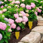 Operitacx 4pcs Rain Gauge Outdoor, Plastic Rain Gauges for Yard with Stake, Easy to Read Water Gauge for Rain Garden Lawn